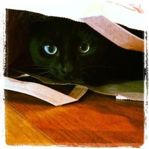 Meet your Posher, Samantha